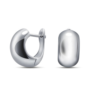 Серьги из серебра 925 пробы SILVER WINGS 02FYE11246-113